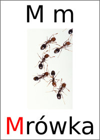 Letter Chart for M